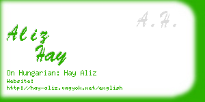 aliz hay business card
